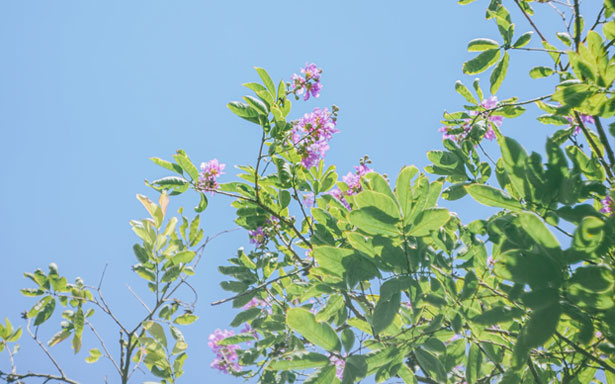 ĐỪNG ÉP TRẺ TI MẸ